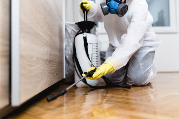 Best Pest Removal Services  in Kekoskee, WI
