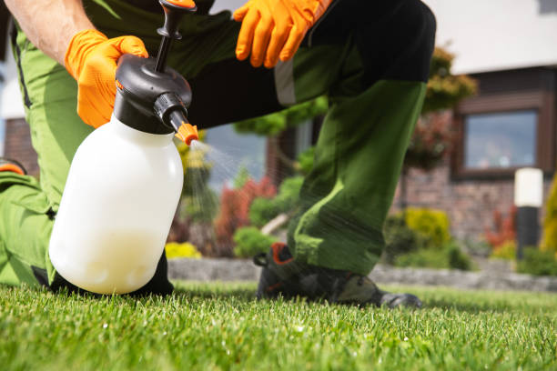Best Rodent Control Near Me  in Kekoskee, WI