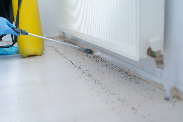 Best Affordable Pest Control Services  in Kekoskee, WI