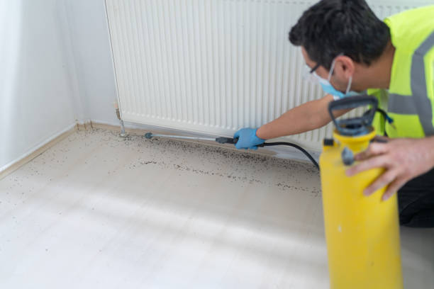 Best Ant Control Services  in Kekoskee, WI