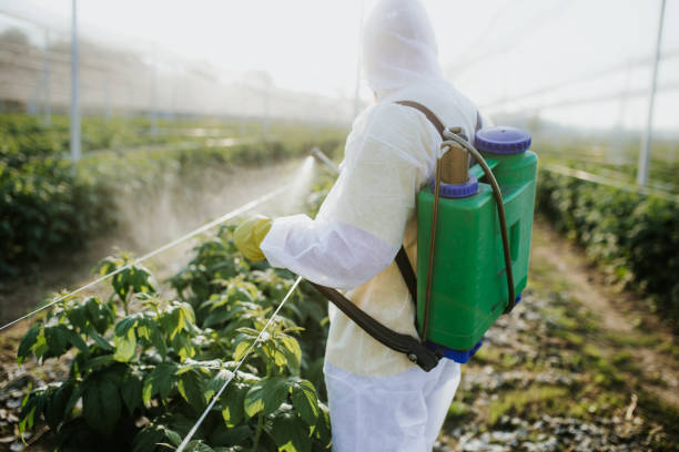 Best Best Pest Control Companies  in Kekoskee, WI